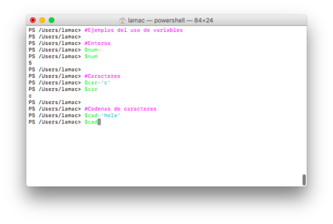 Variables 1: enteros, caracteres y cadenas de caracteres | Operating ...