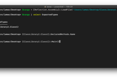 Obtener información sobre los métodos declarados en una librería DLL cargada en PowerShell desde macOS