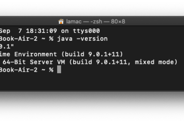Cómo sé si ya tengo instalada la máquina virtual Java (JVM)